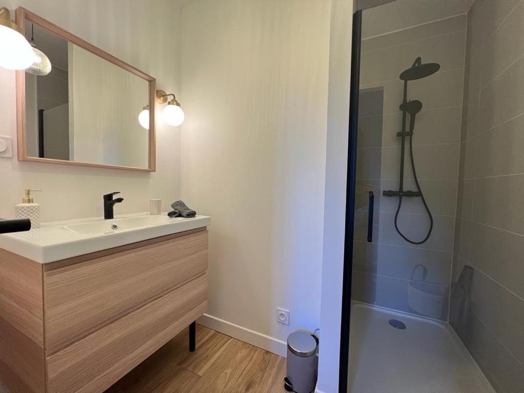 Appartement Coup De Coeur. St Etienne-Rochetaillee سانت إتيان المظهر الخارجي الصورة