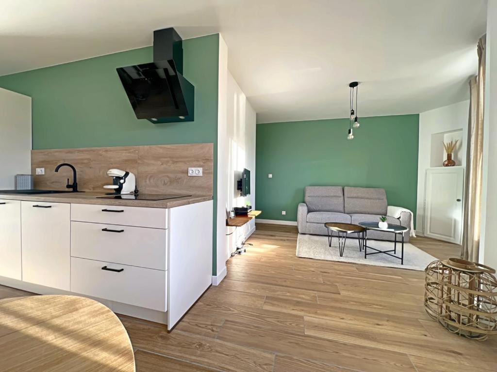 Appartement Coup De Coeur. St Etienne-Rochetaillee سانت إتيان المظهر الخارجي الصورة