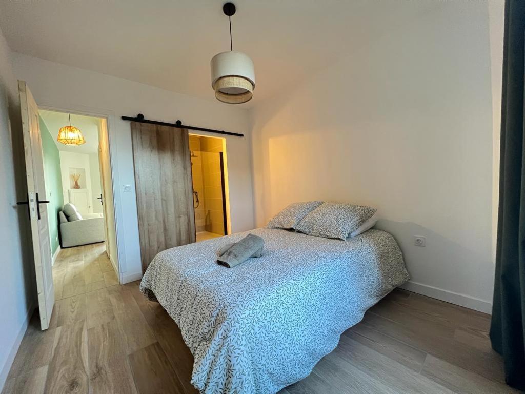 Appartement Coup De Coeur. St Etienne-Rochetaillee سانت إتيان المظهر الخارجي الصورة